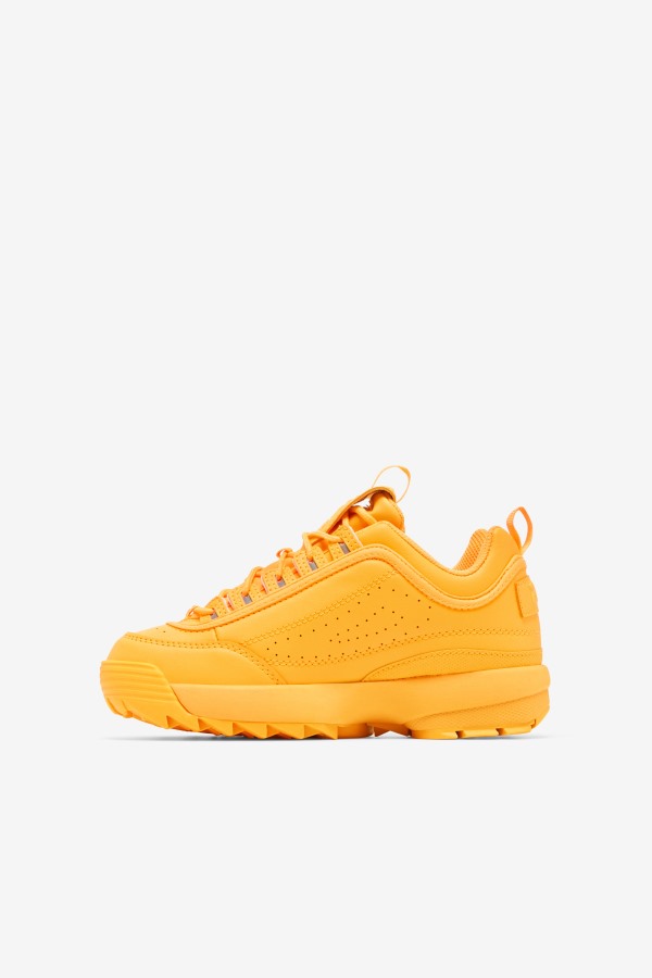 Fila Outlets Orange Big Kids\' Disruptor 2 Premium